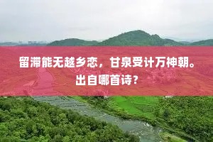 留滞能无越乡恋，甘泉受计万神朝。出自哪首诗？