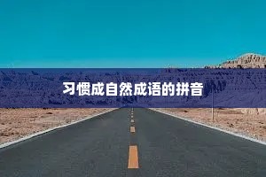 习惯成自然成语的拼音