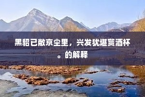 黑貂已敝京尘里，兴发犹堪贳酒杯。的解释