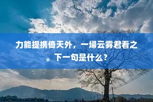 力能提携倚天外，一埽云雾君看之。下一句是什么？