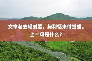 文章老去轻时辈,势利恬来付觉雄。上一句是什么? 文章老去轻时辈,势利恬来付觉雄。上一句是什么?