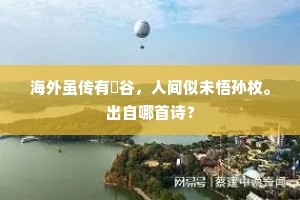 海外虽传有嶰谷，人间似未悟孙枚。出自哪首诗？