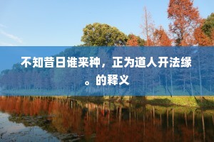 不知昔日谁来种，正为道人开法缘。的释义