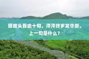 眼暗头昏逾十旬，涔涔终岁发华新。上一句是什么？