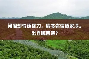 闭阁却怜廷掾力，废书弥信道家淳。出自哪首诗？