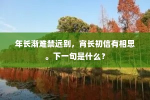 年长渐难禁远别，宵长初信有相思。下一句是什么？