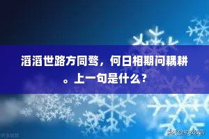 滔滔世路方同骛，何日相期问耦耕。上一句是什么？