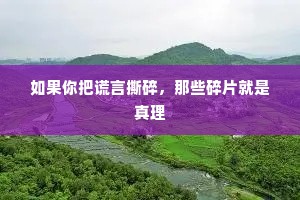 如果你把谎言撕碎，那些碎片就是真理