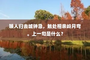 唤人归去城钟急，触处相亲岭月弯。上一句是什么？