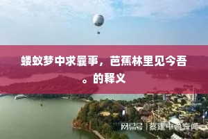 蝼蚁梦中求曩事，芭蕉林里见今吾。的释义