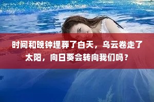 时间和晚钟埋葬了白天，乌云卷走了太阳，向日葵会转向我们吗？