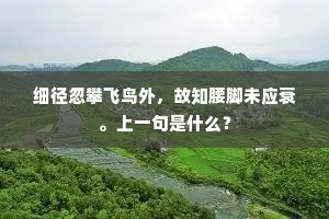 细径忽攀飞鸟外，故知腰脚未应衰。上一句是什么？