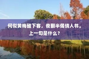何似黄梅碓下客，夜翻半偈倩人书。上一句是什么？