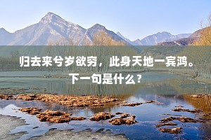 归去来兮岁欲穷，此身天地一宾鸿。下一句是什么？