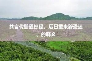 共言伐翳通樵径，后日重来路恐迷。的释义