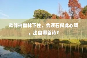 欲伴衲僧林下住，会须石似此心顽。出自哪首诗？
