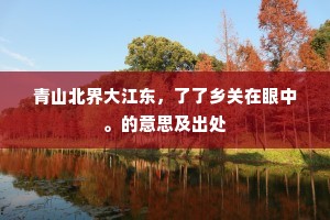 青山北界大江东，了了乡关在眼中。的意思及出处