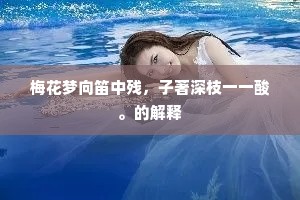 梅花梦向笛中残，子著深枝一一酸。的解释