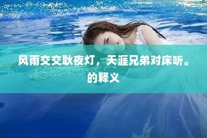 风雨交交耿夜灯，天涯兄弟对床听。的释义