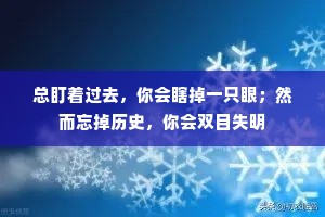 总盯着过去，你会瞎掉一只眼；然而忘掉历史，你会双目失明
