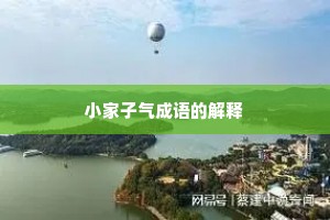 小家子气成语的解释
