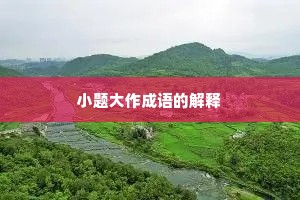 小题大作成语的解释