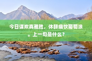 今日谋欢真雅胜，休辞痛饮葡萄浪。上一句是什么？
