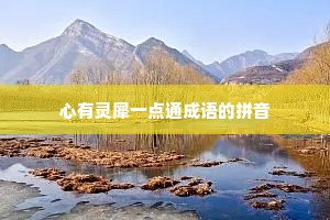 心有灵犀一点通成语的拼音