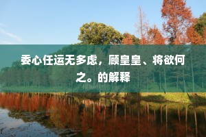 委心任运无多虑，顾皇皇、将欲何之。的解释