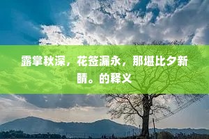 露掌秋深，花签漏永，那堪比夕新睛。的释义