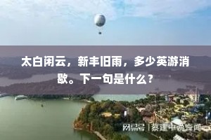 太白闲云，新丰旧雨，多少英游消歇。下一句是什么？