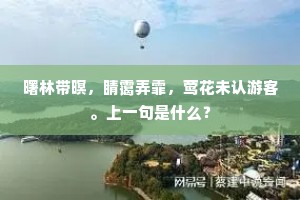 曙林带暝，睛霭弄霏，莺花未认游客。上一句是什么？