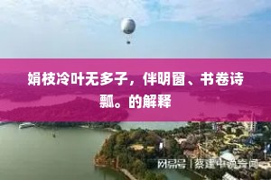 娟枝冷叶无多子，伴明窗、书卷诗瓢。的解释