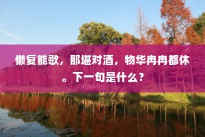 懒复能歌，那堪对酒，物华冉冉都休。下一句是什么？
