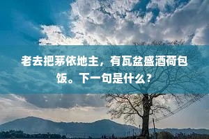 老去把茅依地主，有瓦盆盛酒荷包饭。下一句是什么？