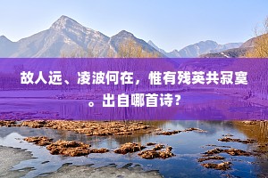 故人远、凌波何在，惟有残英共寂寞。出自哪首诗？