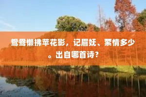 鸳鸯懒拂苹花影，记眉妩、萦情多少。出自哪首诗？