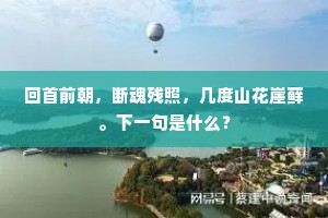 回首前朝，断魂残照，几度山花崖藓。下一句是什么？