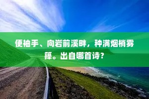 便袖手、向岩前溪畔，种满烟梢雾箨。出自哪首诗？