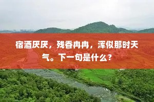 宿酒厌厌，残香冉冉，浑似那时天气。下一句是什么？