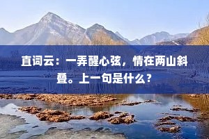 直词云：一弄醒心弦，情在两山斜叠。上一句是什么？