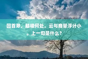 回首渺，觚棱何处，云与商量浮计小。上一句是什么？