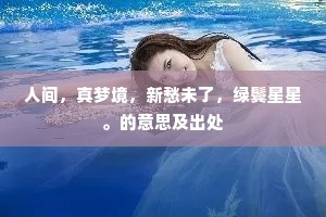 人间，真梦境，新愁未了，绿鬓星星。的意思及出处