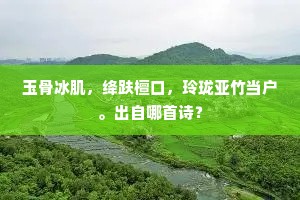 玉骨冰肌，绛趺檀口，玲珑亚竹当户。出自哪首诗？