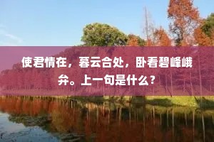 使君情在，暮云合处，卧看碧峰峨弁。上一句是什么？