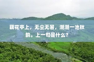 藕花亭上，无尘无暑，滟滟一池秋韵。上一句是什么？