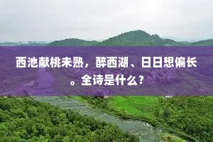 西池献桃未熟，醉西湖、日日想偏长。全诗是什么？