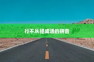 行不从径成语的拼音