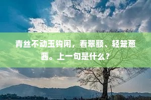 青丝不动玉钩闲，看翠额、轻笼葱茜。上一句是什么？