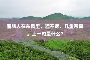断肠人在东风里，遮不尽、几重帘幕。上一句是什么？